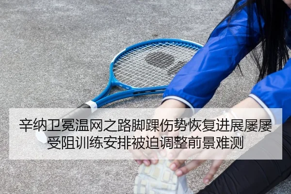 辛纳卫冕温网之路脚踝伤势恢复进展屡屡受阻训练安排被迫调整前景难测