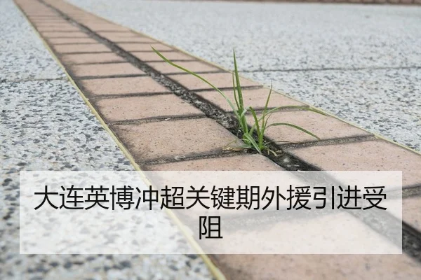大连英博冲超关键期外援引进受阻